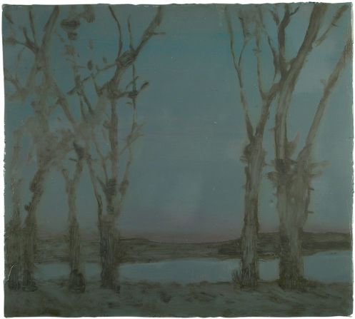 Birch (585x525), Png Download