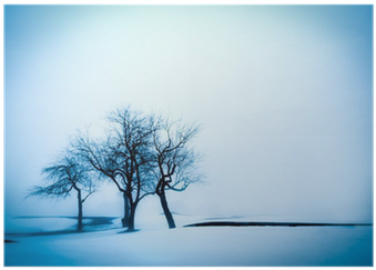 Minimalism Snowy Landscape With Trees Poster • Pixers® - Oak (400x400), Png Download