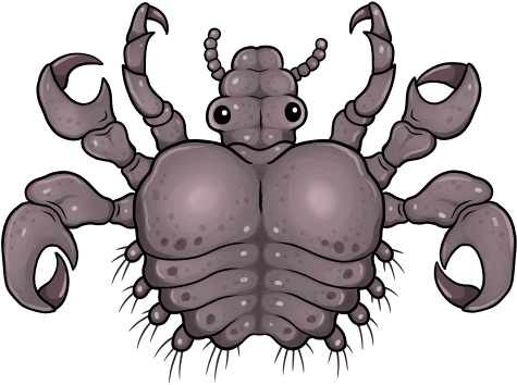 Pubic Louse Shirt Design - T-shirt (500x407), Png Download