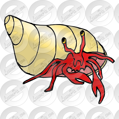 Hermit Crab Clipart Lobster - Hermit Crab (380x380), Png Download