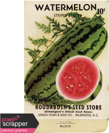 Slice Of Summer - Backroads Collection Country Primitive Seed Pack Coin (456x456), Png Download