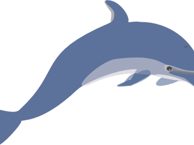 Dolphin Clipart Jpeg - Dolphin Clip Art (640x480), Png Download