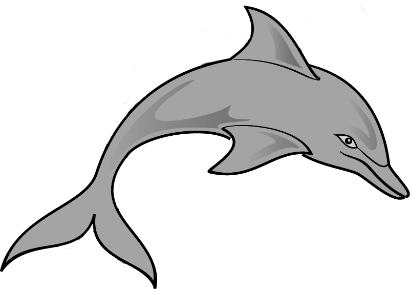 Dolphin Clipart Cute Clip Art Animals Downloadclipartorg - Dolphin Clipart Transparent (801x564), Png Download