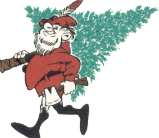 Hawaii Clipart Christmas Tree - Christmas Tree (640x480), Png Download