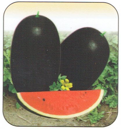 Formula 1 (550x445), Png Download