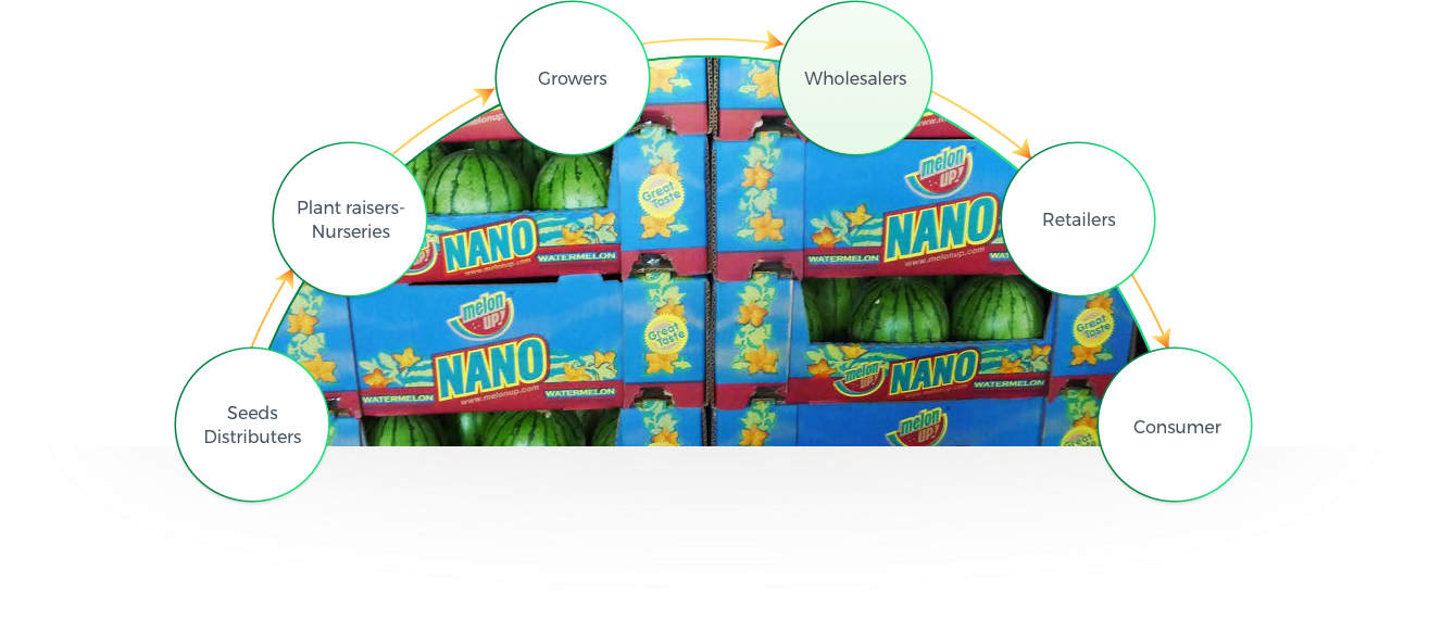 Origene Seeds Lead To A Significant Contribution For - Cartoon (1315x570), Png Download