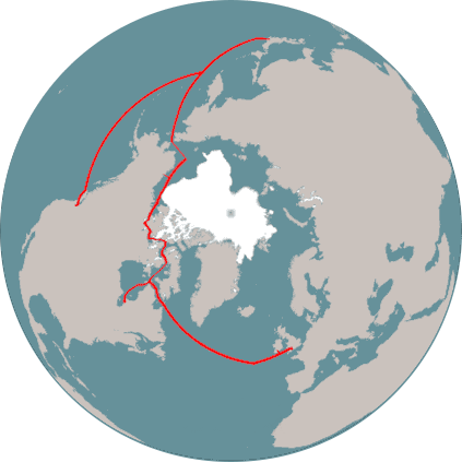 The Cable - Circle (423x423), Png Download