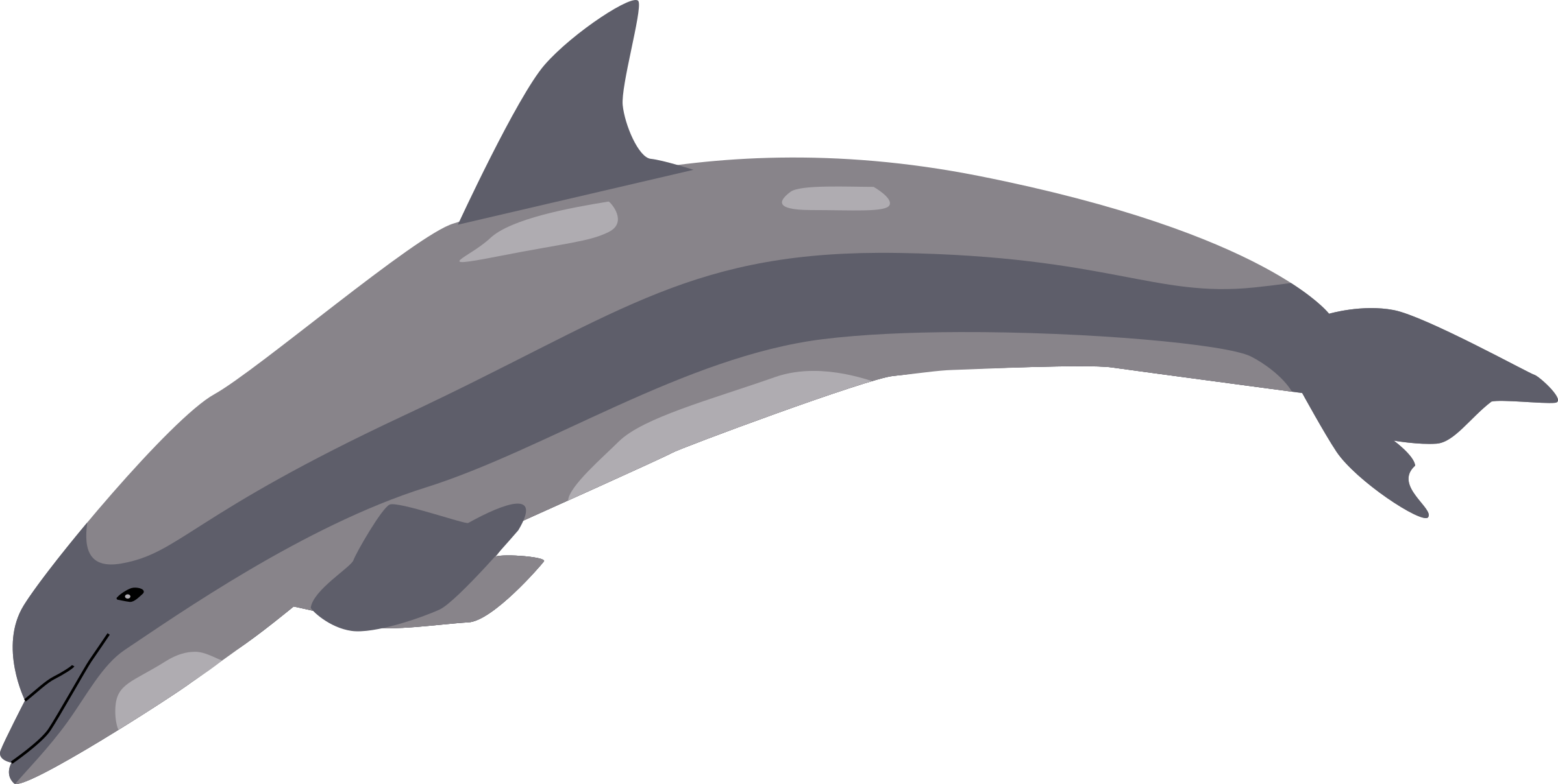 Clipart - Dolphin (2400x1209), Png Download