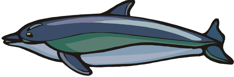Bottlenose Dolphin Clipart Dolphin Fish - Mahi-mahi (750x248), Png Download