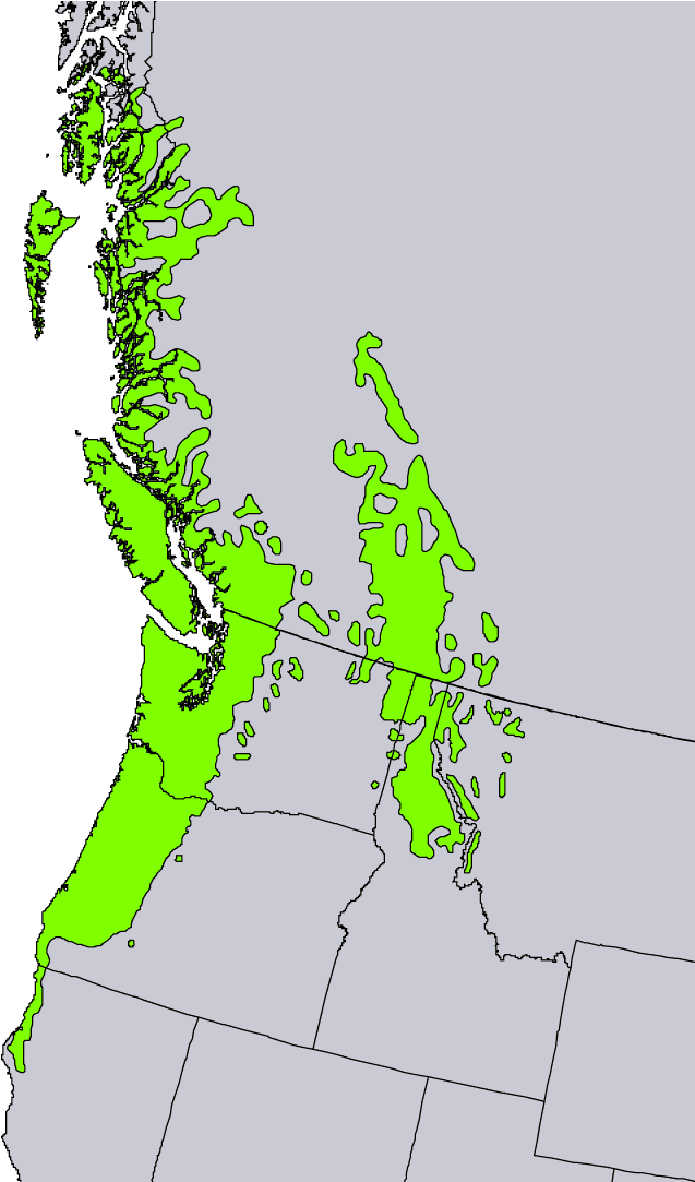 Thuja Plicata Range - Western Red Cedar Distribution (851x1082), Png Download