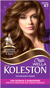 Kit 67 Chocolate - Koleston 67 (402x538), Png Download