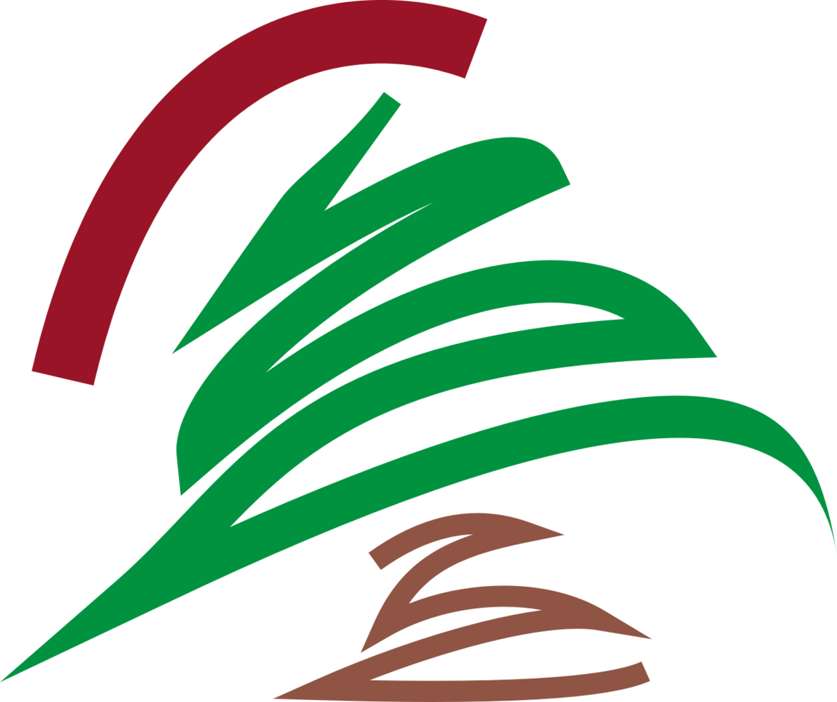 File - Cedaricon - Cedar Tree Logo (1221x1024), Png Download