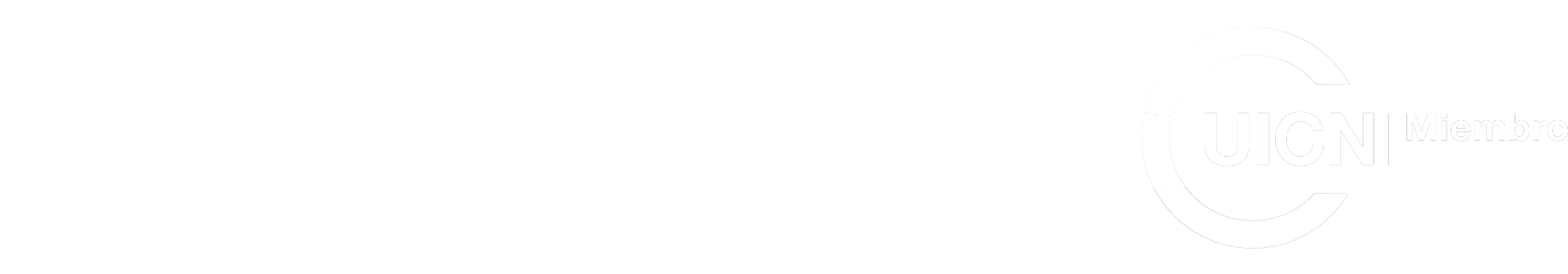 Dona - Circle (2192x588), Png Download