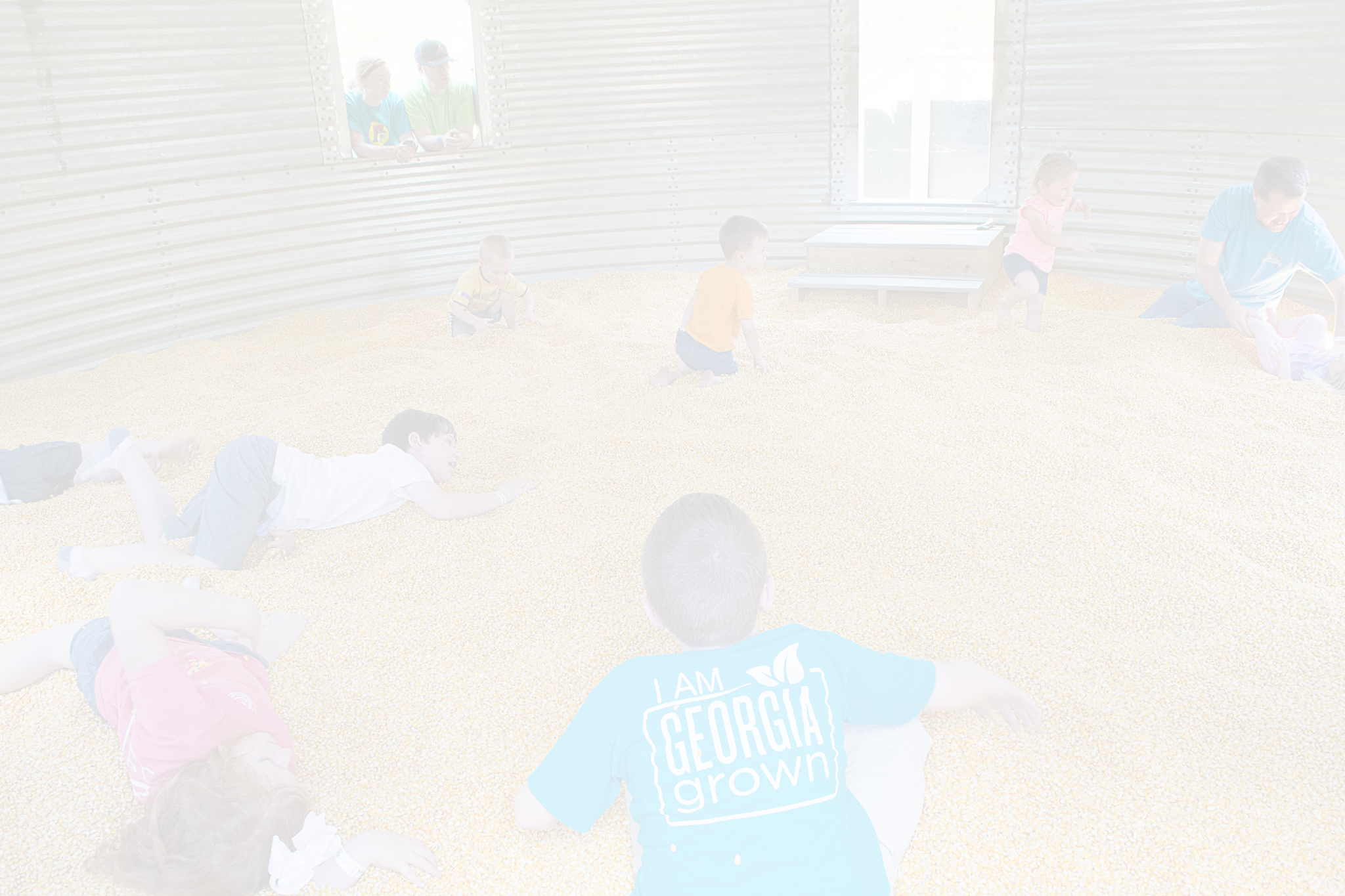 Summer Fun In Georgia - Floor (2048x1365), Png Download