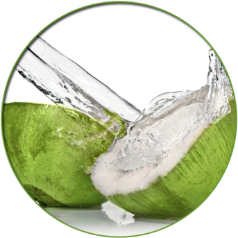 Young Coconut Water - Z Natural Foods Coconut Water Powder - Organic Freeze (347x350), Png Download
