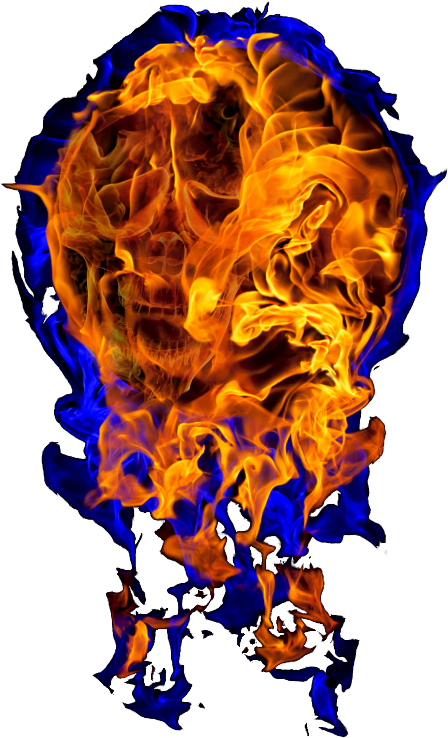 Download The “ball Of Flames” Preferred Format Png - Fire Skull (1500x2469), Png Download