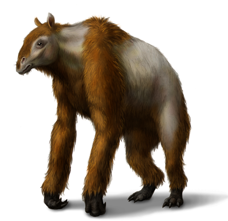 Anisodon - Ark Encounter Anisodon (750x876), Png Download