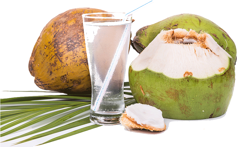 Fresh Coconut Water - Financier (847x1000), Png Download
