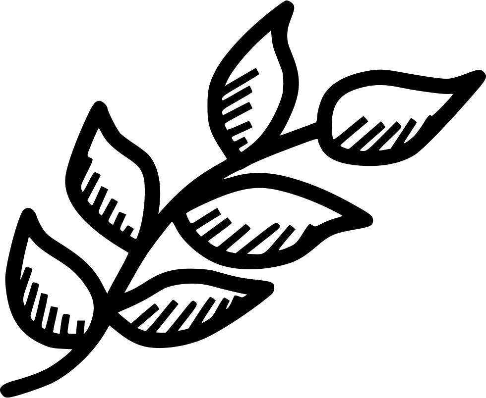 Branch Leaf Leaves Spring Decoration Nature Plant Comments - Nature Plants (980x804), Png Download
