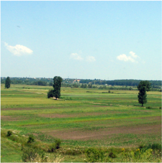 1 Romania Pic 1 - T1v 1x1 (1200x675), Png Download