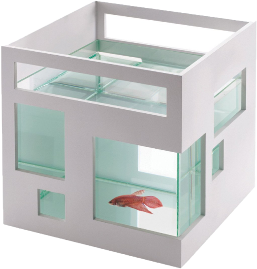 Pecera Especialmente Pensada Para Arquitectos Amantes - Top Christmas Gifts 2016 For Tweens (601x600), Png Download