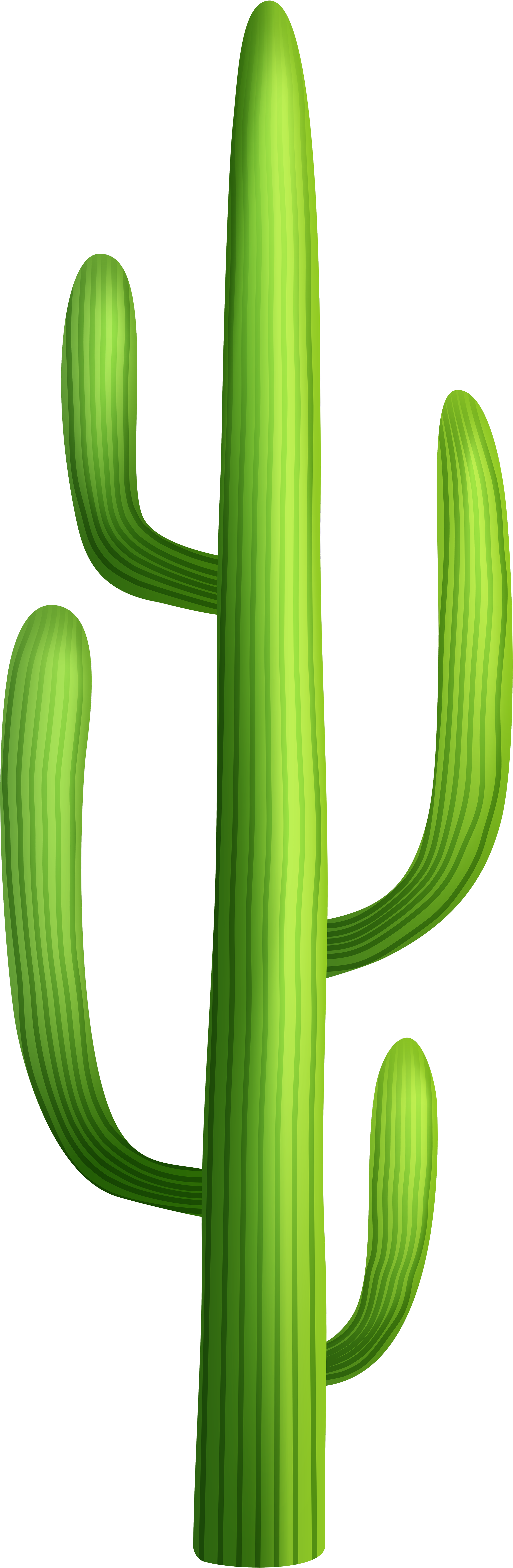 Cactus Clipart Transparent (2821x8000), Png Download