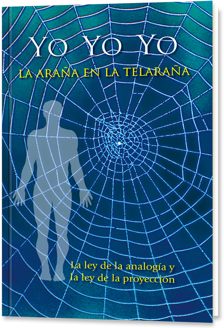 Yo, Yo, Yo, La Araña En La Telaraña - Yo Yo Yo . La Araña En La Telaraña (800x1067), Png Download