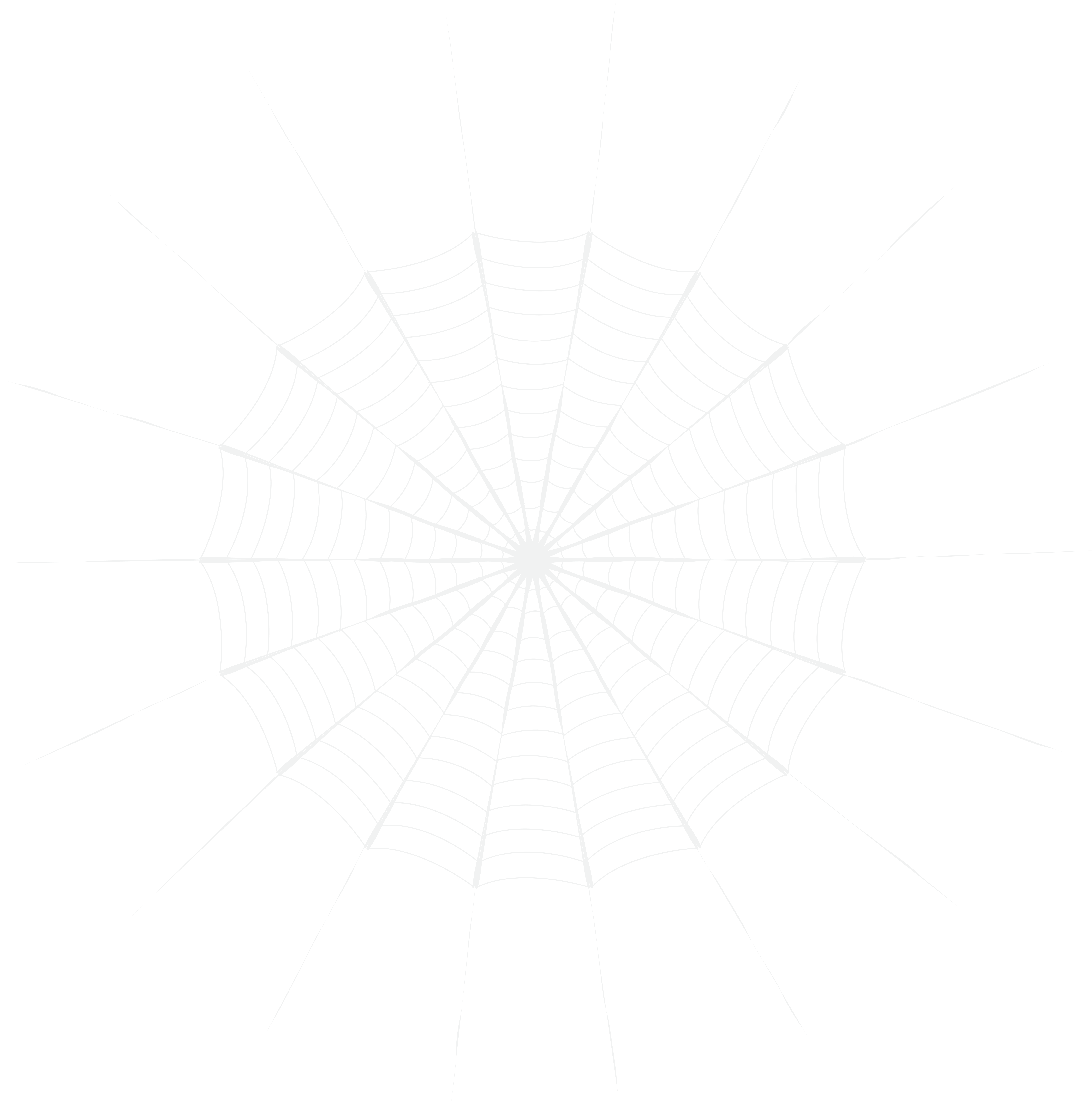 White Spider Web Png (7902x8000), Png Download