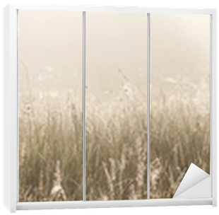 Grass Field With Spider Webs Wardrobe Sticker • Pixers® - Field (400x400), Png Download