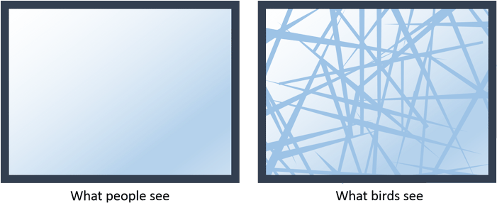 A German Engineering Company Called Arnold Glas Have - Spider Web Glass (700x299), Png Download