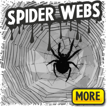 Spiderwebs And Spider Decorations For Halloween - Spider Web (357x358), Png Download