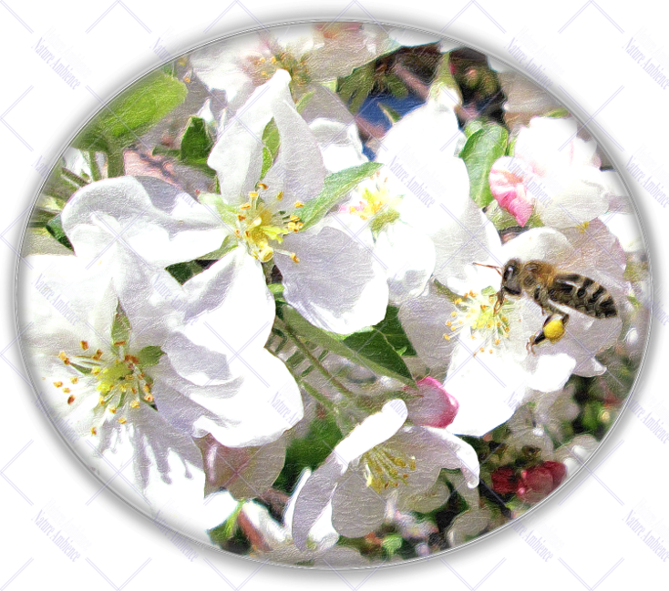 Artificial Flower (734x649), Png Download