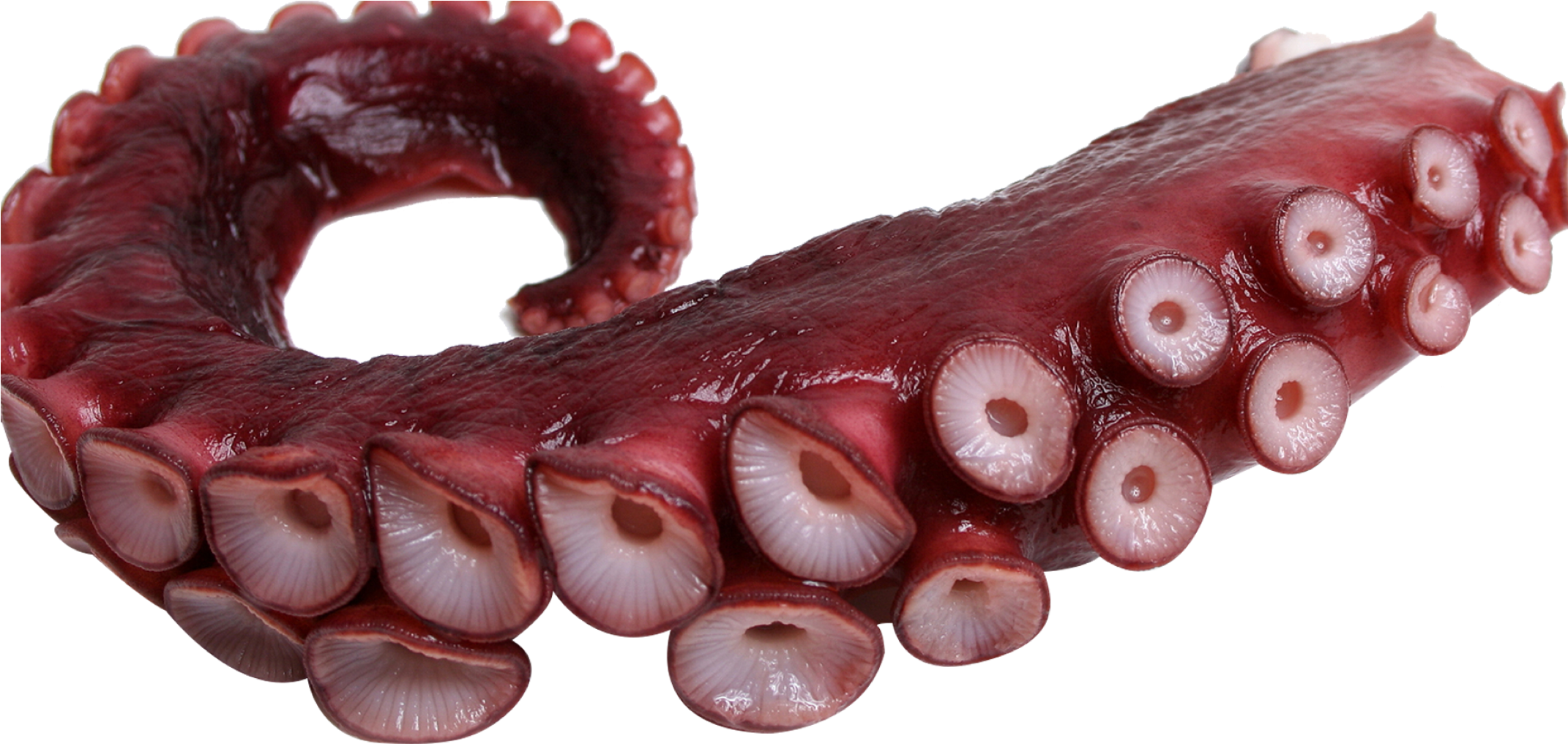 Tentacle Sticker - Octopus Tentacles (2141x1024), Png Download