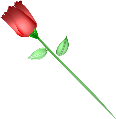 Rose,red,flower,red - Romance (500x438), Png Download