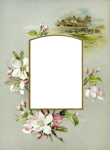 Vintage Apple Blossom Photo Album Mat ~ Wingsofwhimsy - Son Pişmanlık Fayda Verir (güzel Anadolum Serisi) 9 (383x523), Png Download