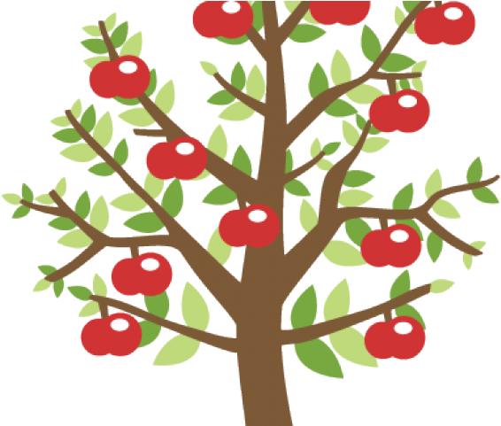 Apples On Tree Transparent (640x480), Png Download