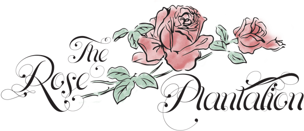 The Rose Plantation - Rose Plantation Fruitland Park (640x271), Png Download