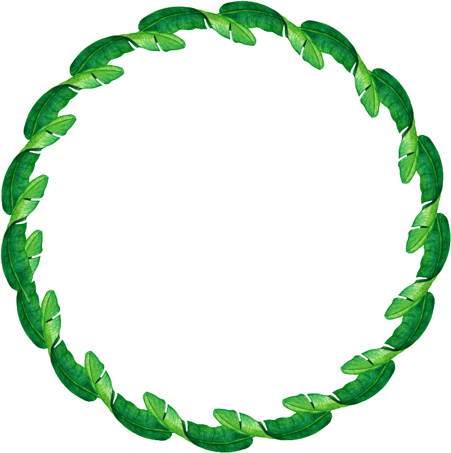 Hand Painted Banana Leaf Ring Png Transparent - Laureles En Circulo (1024x1018), Png Download