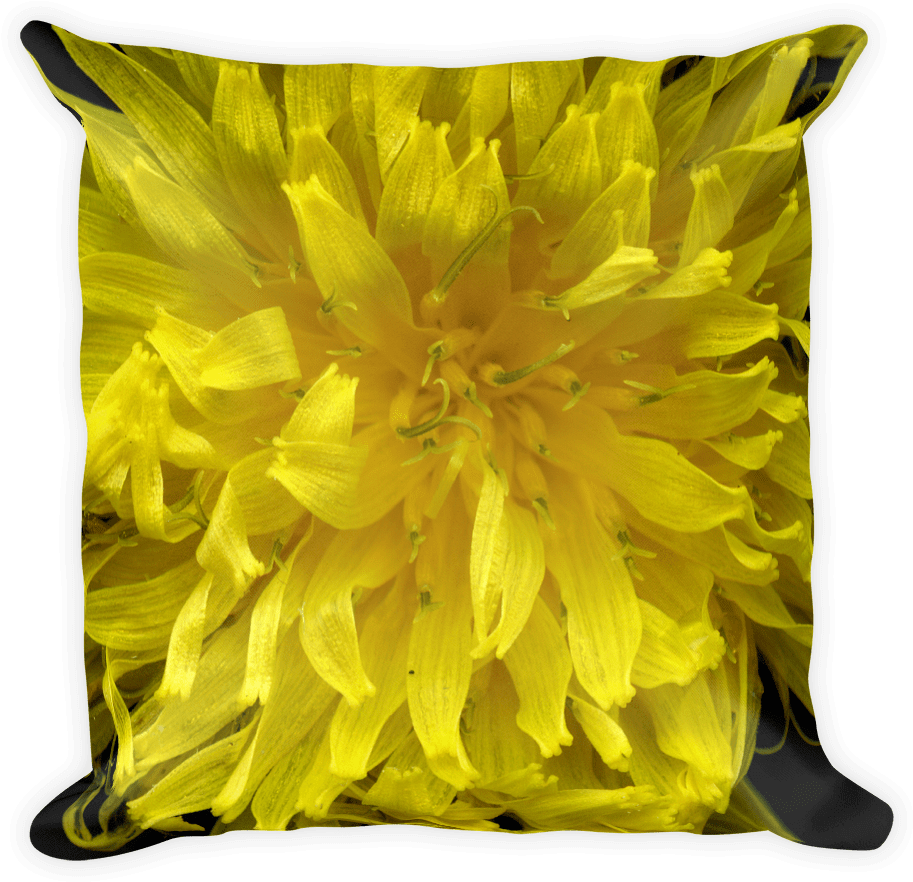 Dandelion Pillow - Sunflower (1000x1000), Png Download