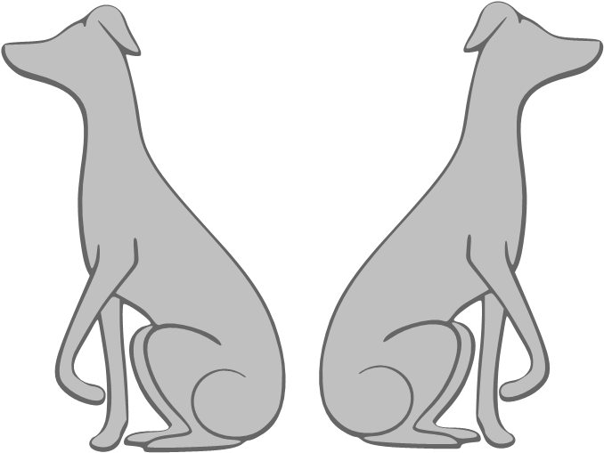 Italian Greyhound - Dog (699x529), Png Download