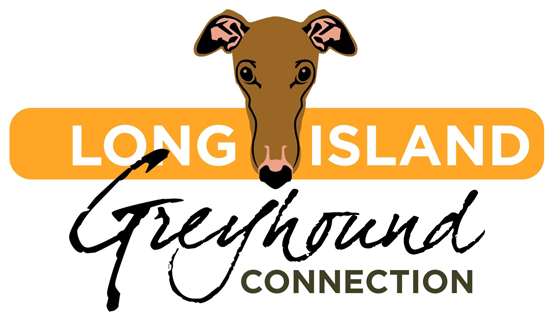 Long Island Greyhound Connection Inc. (576x341), Png Download