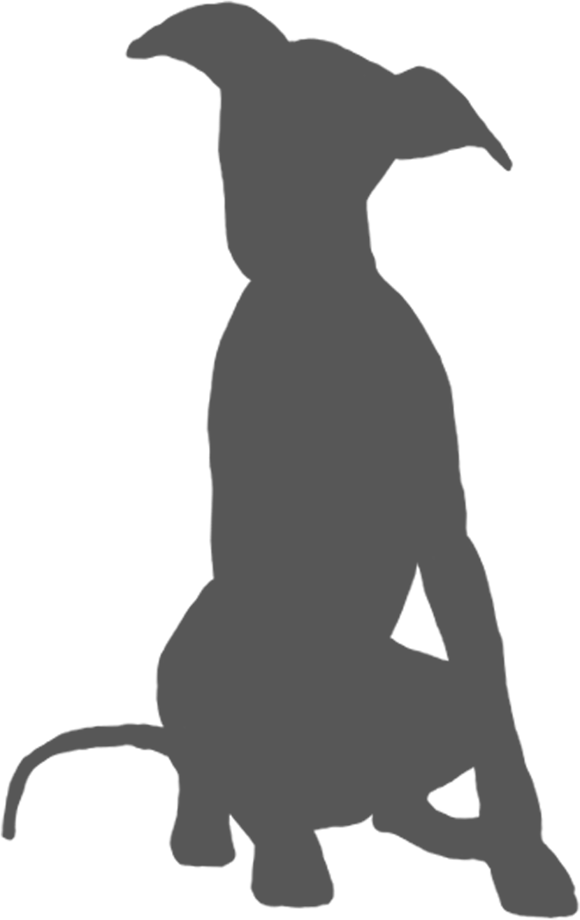 Google Search - Whippet Silhouette (1500x1500), Png Download
