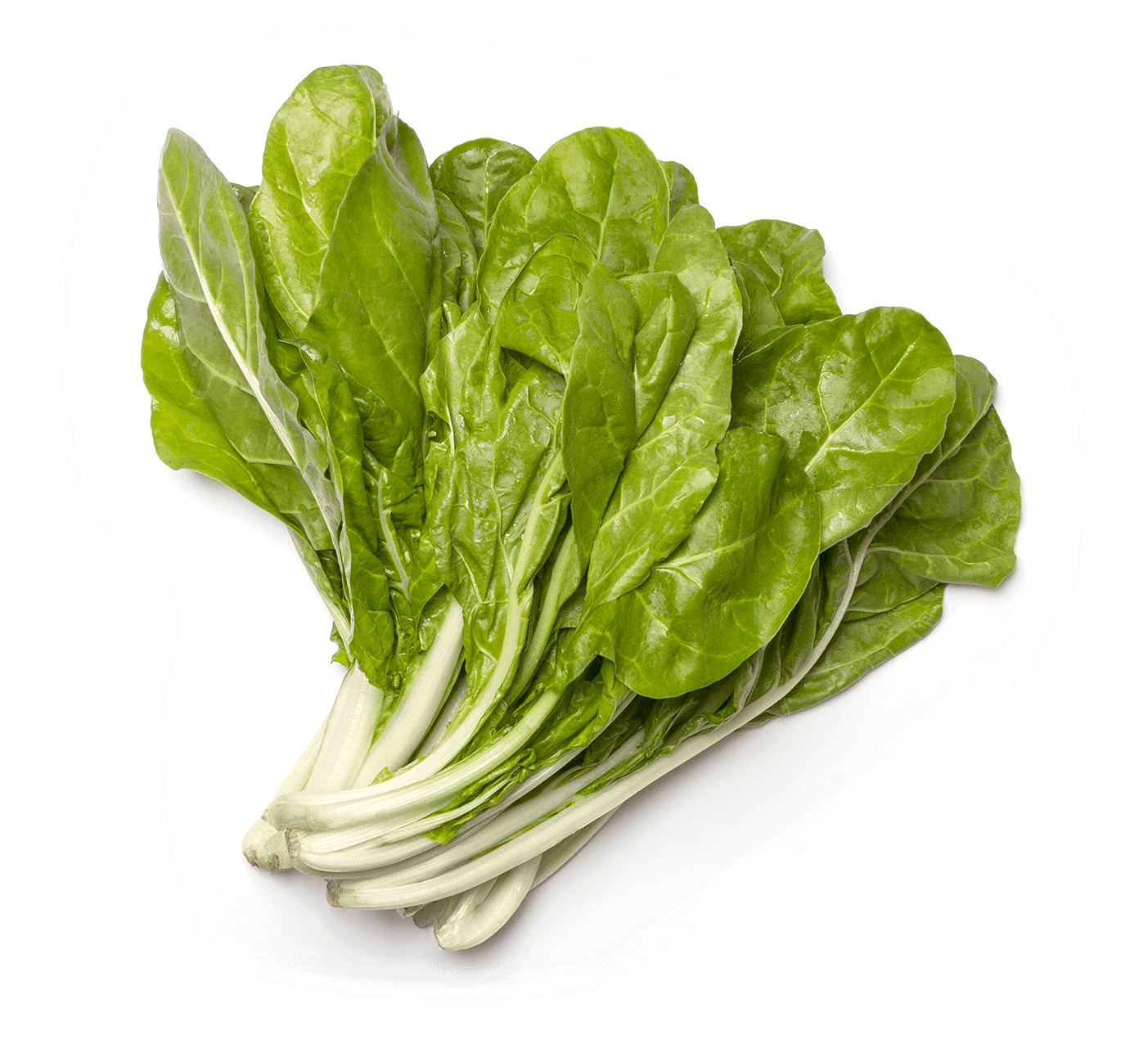 Acelgas Extra Manojo - Roman Lettuce (1500x1282), Png Download
