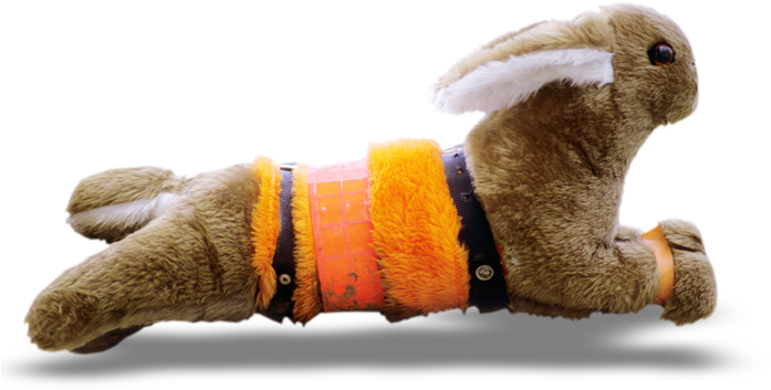 24/7 - Greyhound Racing (703x440), Png Download