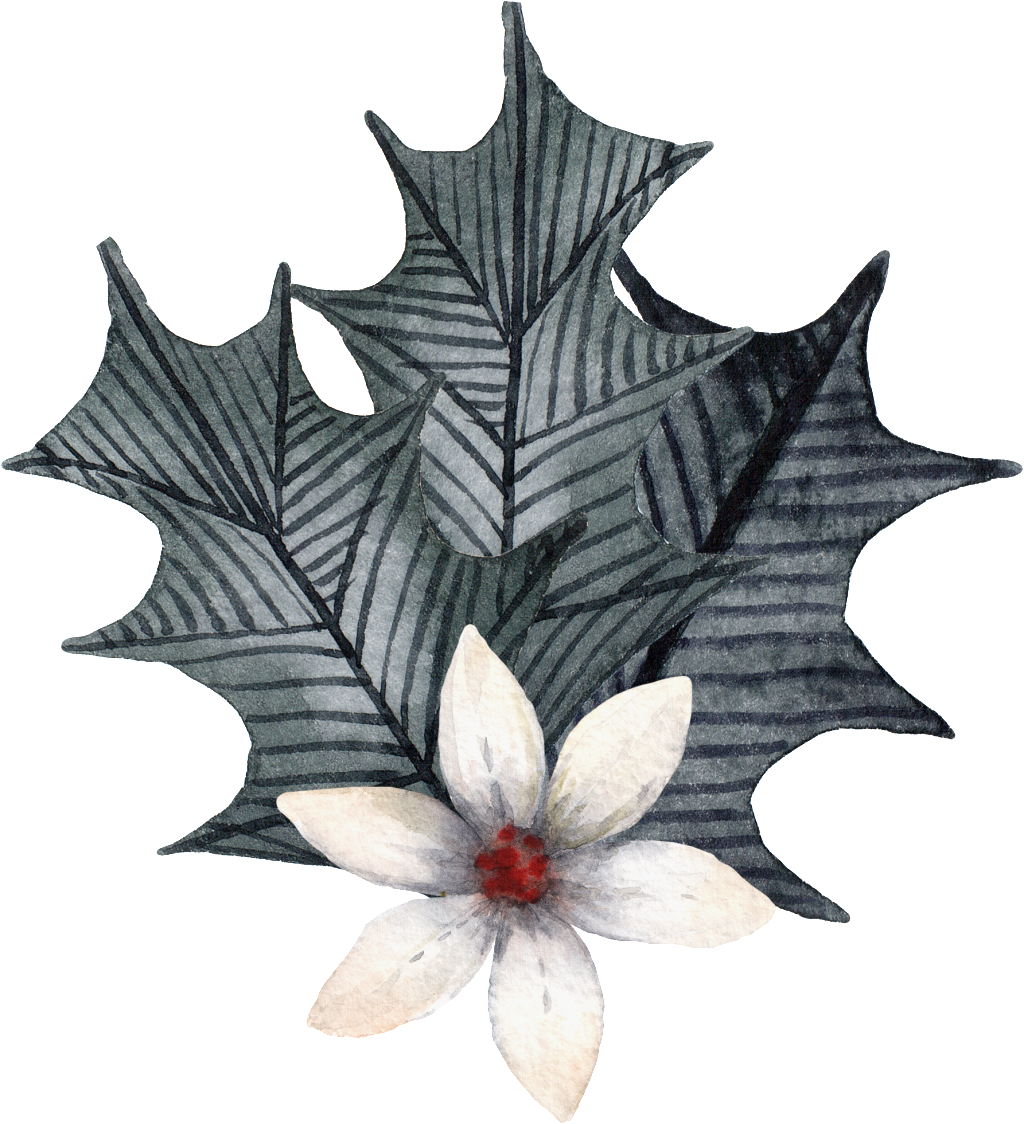Magnolia And Grey Leaves Png Transparent - Portable Network Graphics (1024x1124), Png Download