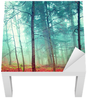 Colorful Mystic Autumn Trees Lack Table Veneer • Pixers® - 30 X 30 - Mystic Autumn Trees - Metal Print - 4 Panel (400x400), Png Download