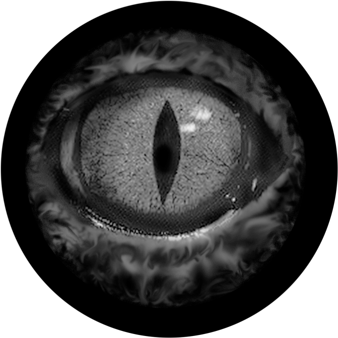 More Views - Apollo Eye Glass Gobo Sr-0042 (800x800), Png Download