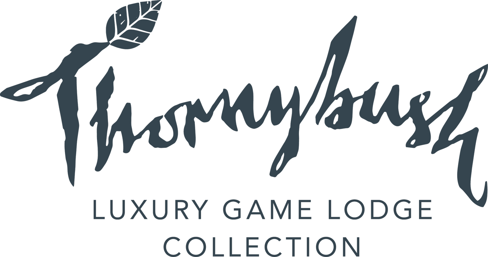 Thornybush Game Lodge - Thornybush Game Lodge Logo (1600x845), Png Download