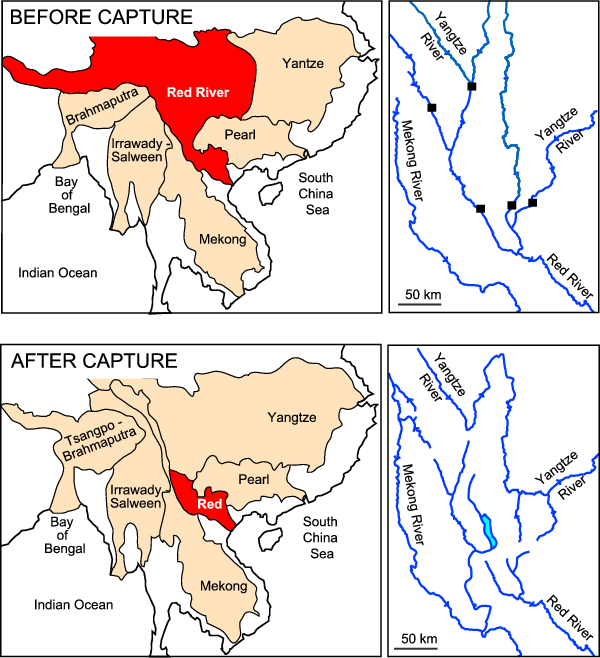 Cartoon After Clark Et Al - River (600x658), Png Download