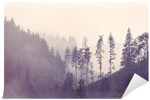 Go To Image - Photography (400x400), Png Download